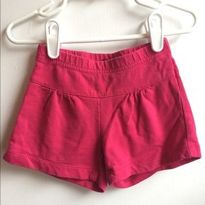 Tea collection shorts size 2